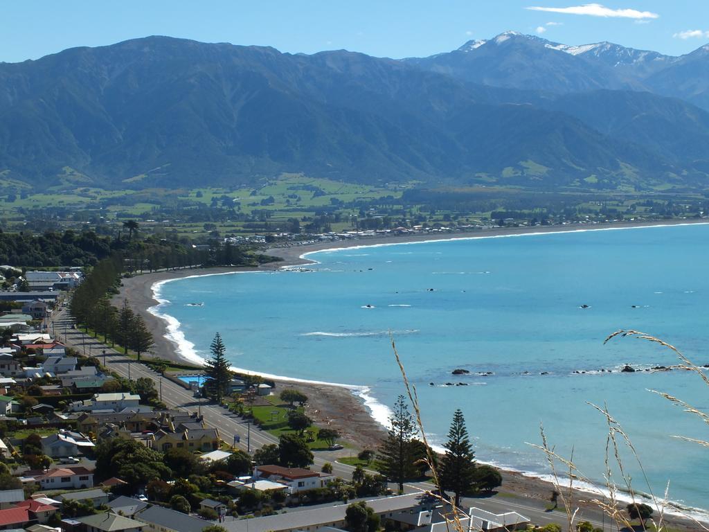 Bed and breakfast Austin Heights - Kaikoura Extérieur photo